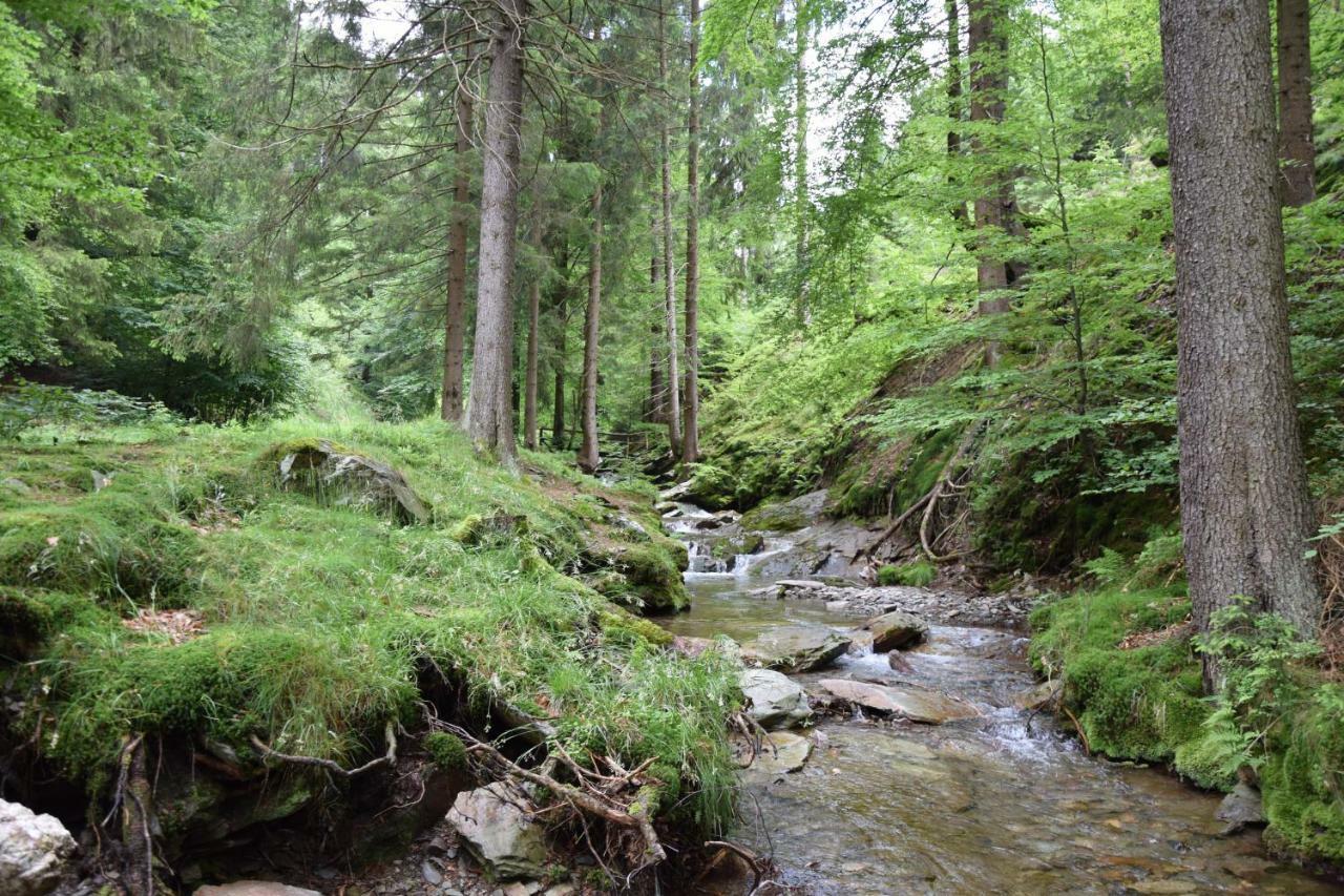 Marschalls Hotel Am Rennsteig نويهاوس آم رنفيغ المظهر الخارجي الصورة
